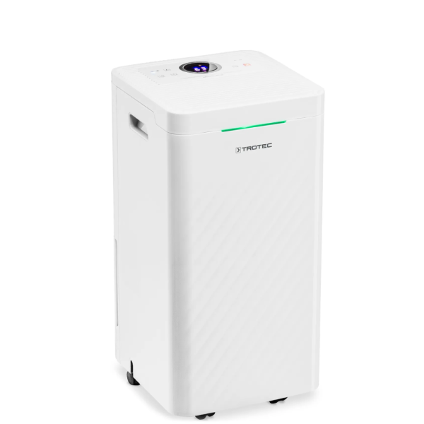 1 62e0eb9b4d613 6419ae50e1983.png